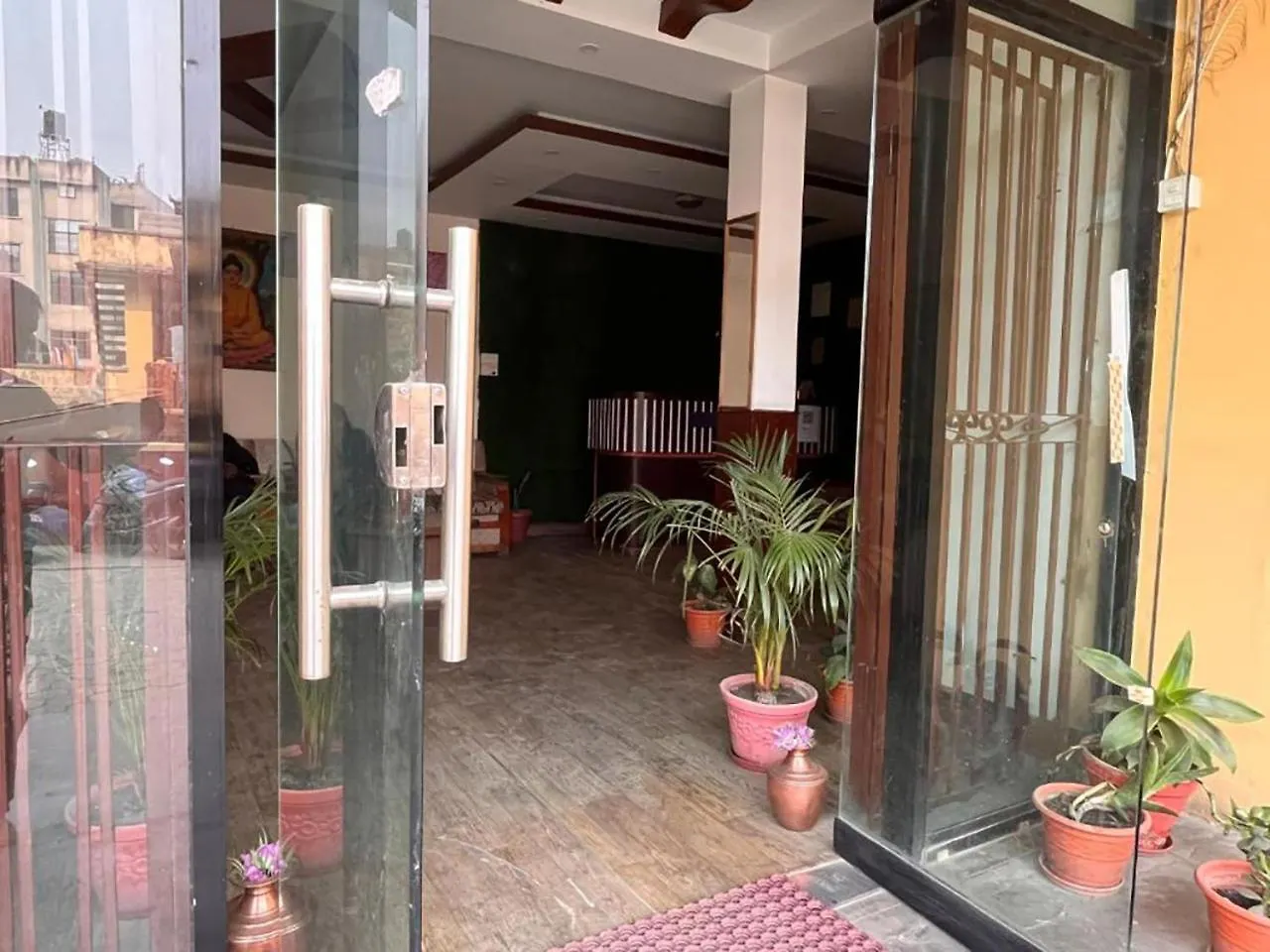 招待所 Hotel Sports Pvt Ltd 加德满都